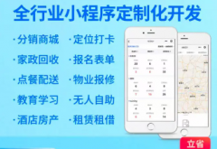 程序开发|软件制作|定制软件|定制网站、开发网站、制作网站、